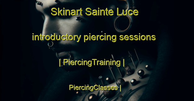 Skinart Sainte Luce introductory piercing sessions | PiercingTraining | PiercingClasses | SkinartTraining-Canada